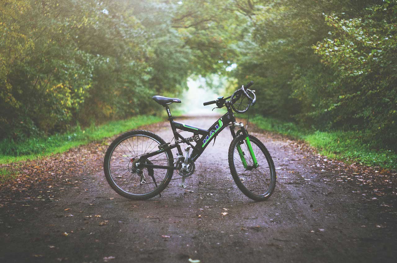 mountain bikes