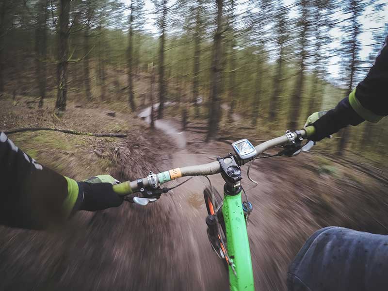 seek thrill and adventure