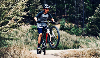 The Best Entry Level Mountain Bikes