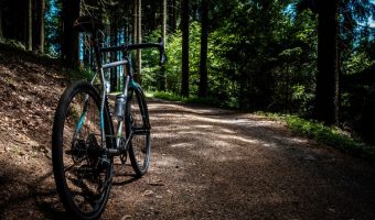 black and gray road bike near trees at daytime